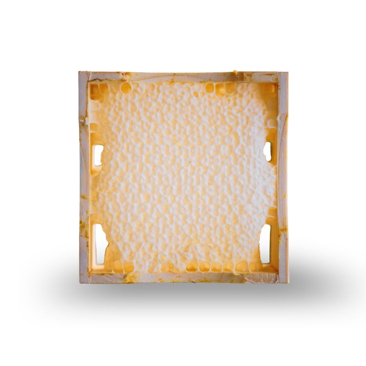 Spring Cut · Wabenhonig